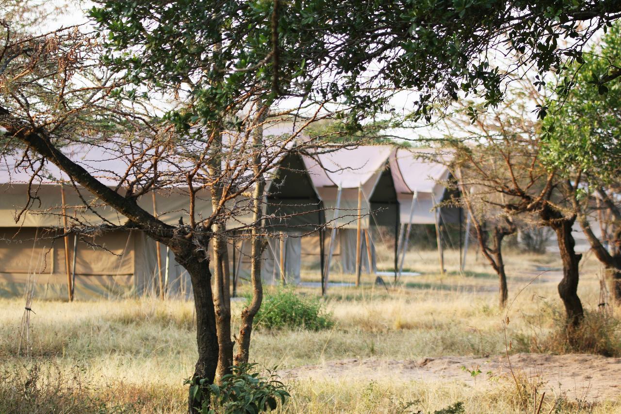 Hotel Olengoti Eco Safari Camp Talek Exteriér fotografie